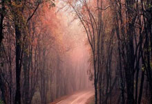 28圈官网：马竞战巴萨大名单：格列兹曼领衔，科克回归，勒诺尔芒在列.