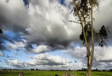 里程碑，格雷罗完成德甲生涯第200次出场.
