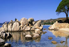 28圈官网：❌️失点！特奥禁区倒地造点，希门尼斯点射被梅雷特直接没收.